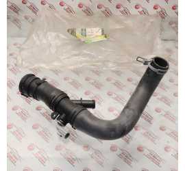 MANICOTTO RADIATORE INF....