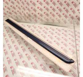 MODANATURA PORTA POST. SX...