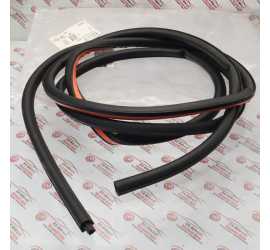 GUARNIZIONE PORTA ANT. DX...