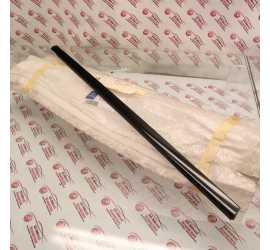 RASCHIAVETRO POST. SX...