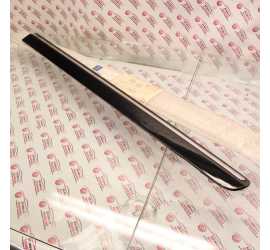 MODANATURA PORTA ANT. DX...