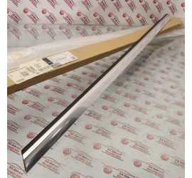 RASCHIAVETRO ANT. SX...