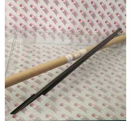 RASCHIAVETRO ANT. DX...