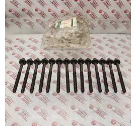 KIT 14 BULLONI TESTA...