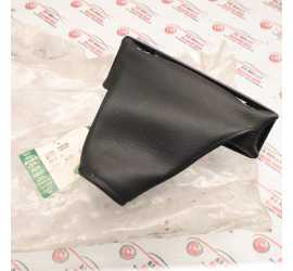 PARAPOLVERE CAMBIO LAND...