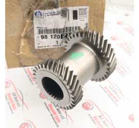 PIGNONE ALBERO SECONDARIO...