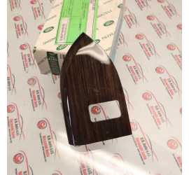 MOSTRINA PULSANTE PORTA DX...