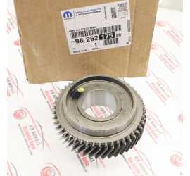 PIGNONE ALBERO PRIMARIO...