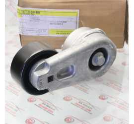 TENDICINGHIA LAND ROVER...