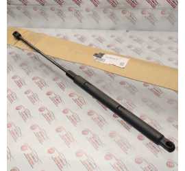 PUNTELLO COFANO MOTORE...