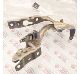 CERNIERA COFANO MOTORE DX...