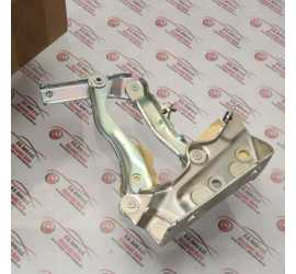 CERNIERA COFANO MOTORE SX...