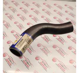 MANICOTTO INTRODUZIONE...