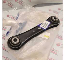 BRACCIO POSTERIORE SINISTRO...