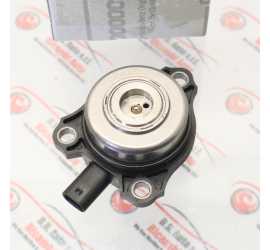 MAGNETE ALBERO A CAMME...