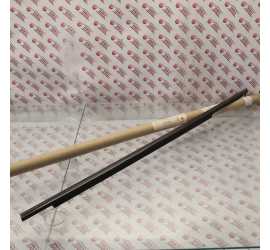 RASCHIAVETRO ANT. SX...