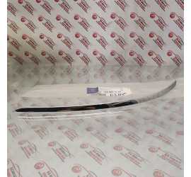 MODANATURA SX PARAURTI ANT....