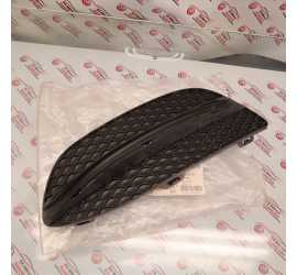 GRIGLIA SINISTRA PARAURTI...