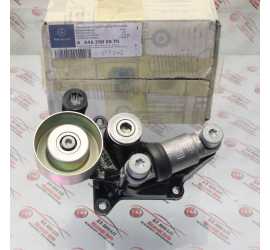 TENDICINGHIA DISTRIBUZIONE...