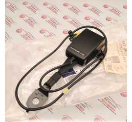 RAMO CINTURA ANT. SX...