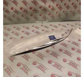 MODANATURA GRIGLIA PARAURTI...