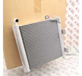 RADIATORE MOTORE RANGE...
