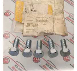 KIT 5 BULLONI BANJO TESTA...