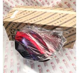 FANALE POST. ESTERNO DX LED...