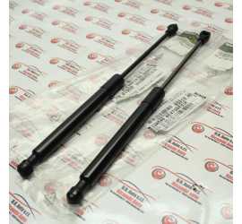 COPPIA PISTONI COFANO...