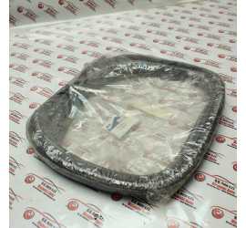 GUARNIZIONE SX TETTO FORD...