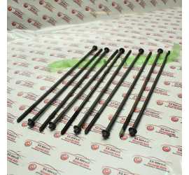 SERIE 10 BULLONI TESTA LAND...