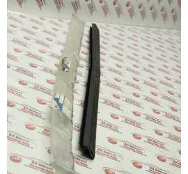 RASCHIAVETRO POSTERIORE...