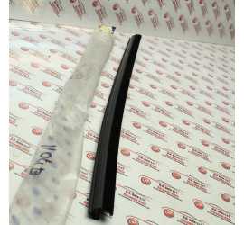 RASCHIAVETRO POSTERIORE...