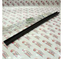 RASCHIAVETRO POSTERIORE DX...