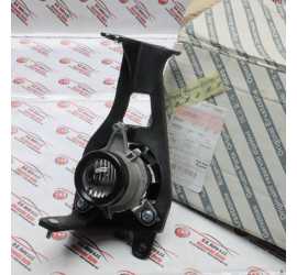 FENDINEBBIA DX LANCIA MUSA...