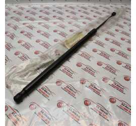 PUNTELLO PISTONCINO BAULE...