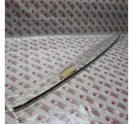 MODANATURA PORTELLONE AUDI...