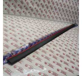 MODANATURA PORTA ANT. DX...