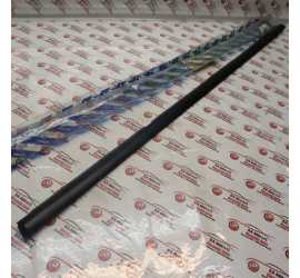 RASCHIAVETRO EST. POST. DX...