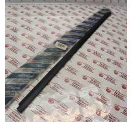 RASCHIAVETRO EST. ANT. SX...