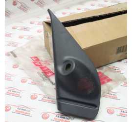 MOSTRINA INTERNA SX...