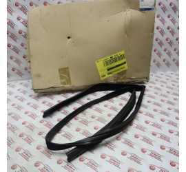 GUARNIZIONE VETRO PORTA...