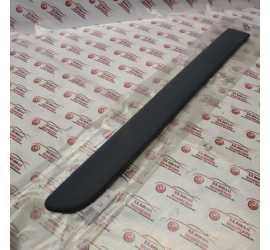 MODANATURA PORTA POSTERIORE...