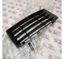 GRIGLIA DESTRA PARAURTI...