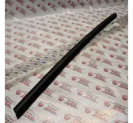 RASCHIAVETRO ANTERIORE...