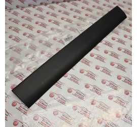 MODANATURA PORTA POST. DX...