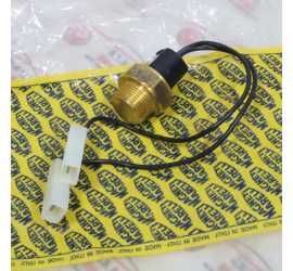 BULBO RADIATORE AUTOBIANCHI...