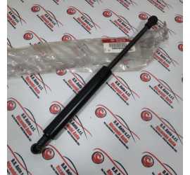 PUNTELLO PISTONCINO BAULE...