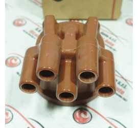 CALOTTA SPINTEROGENO...