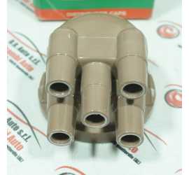 CALOTTA SPINTEROGENO...